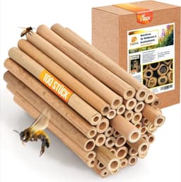 Bambusrohr Produktbild